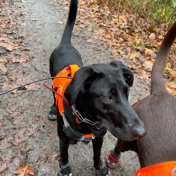 Hello, Andrea is LIVE! Come join! - Picture 5 of 5